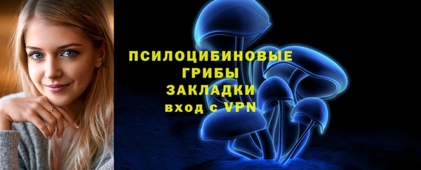 МДПВ Алексеевка