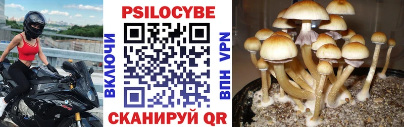Псилоцибиновые грибы мухоморы  как найти наркотики  Ачхой-Мартан 